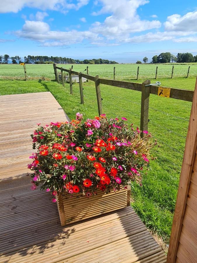 Rowanlea Caravan Stonehaven Luaran gambar